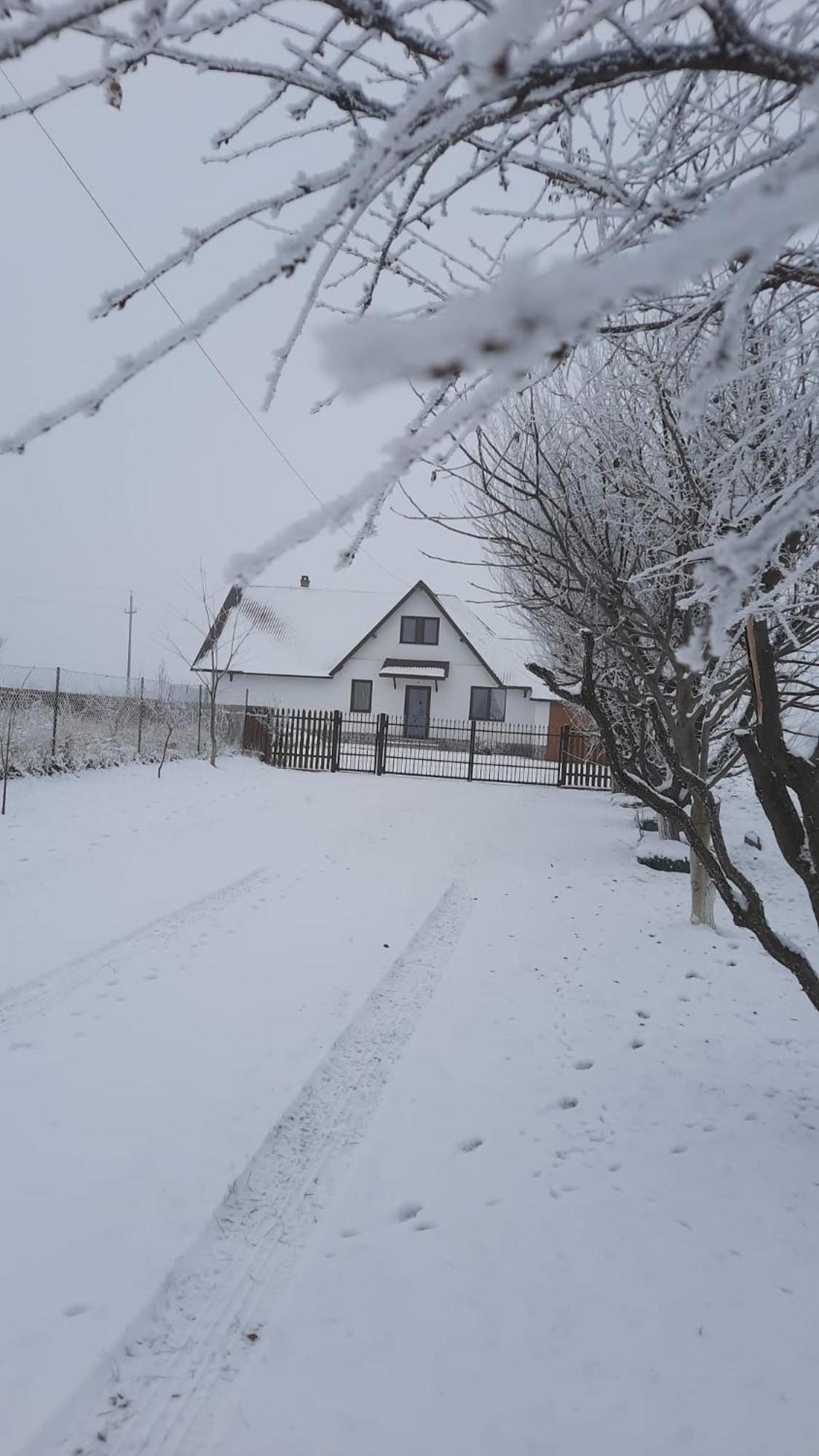 Casuta Din Deal Târgu Neamţ Dış mekan fotoğraf