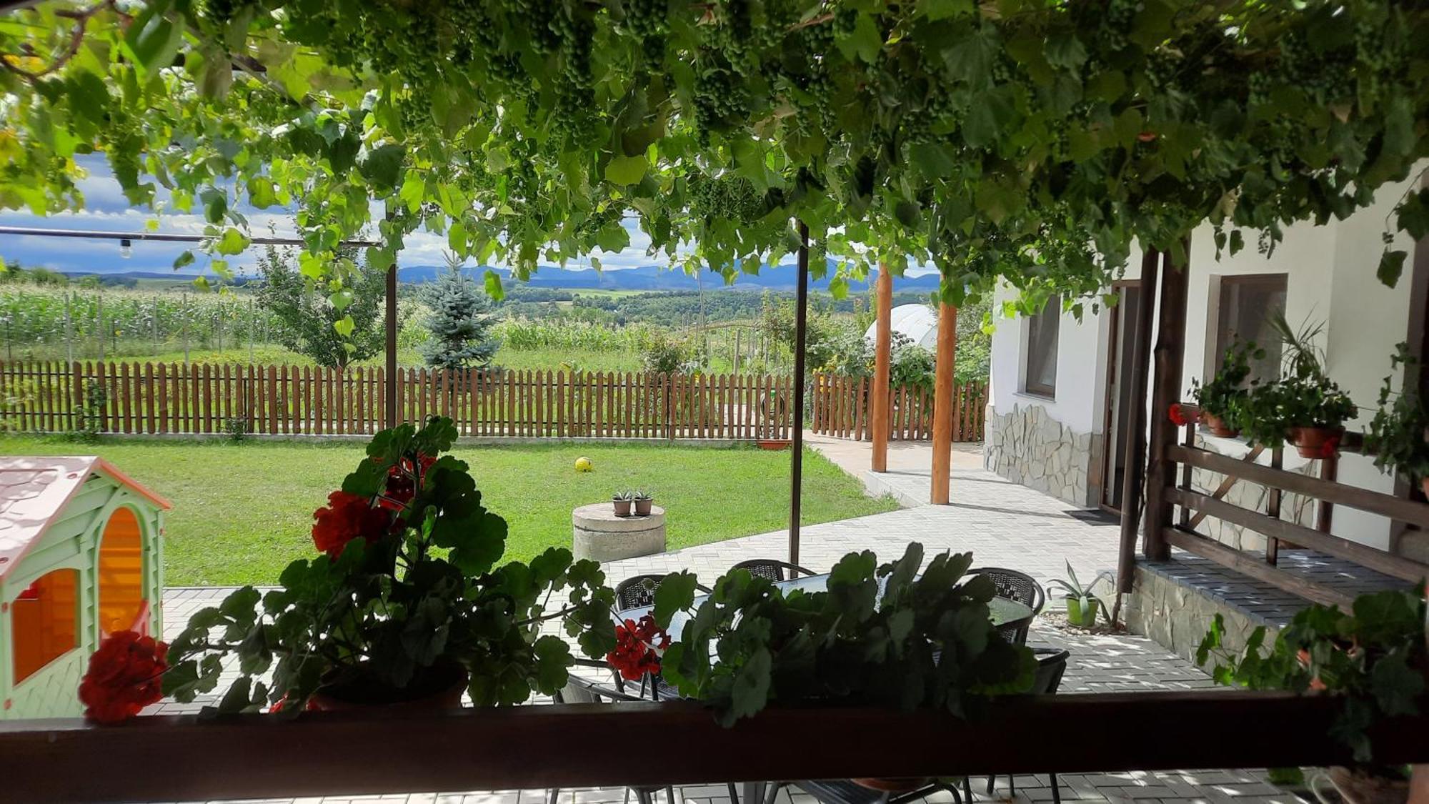 Casuta Din Deal Târgu Neamţ Dış mekan fotoğraf